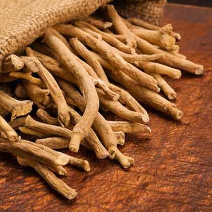 Actif naturel Ashwagandha